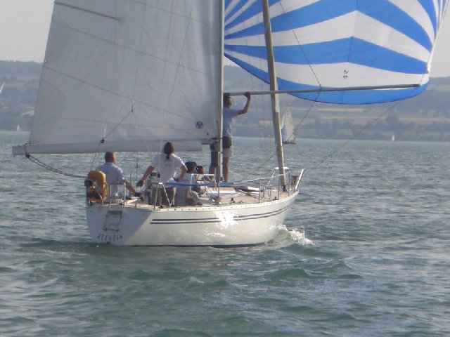 spinnaker